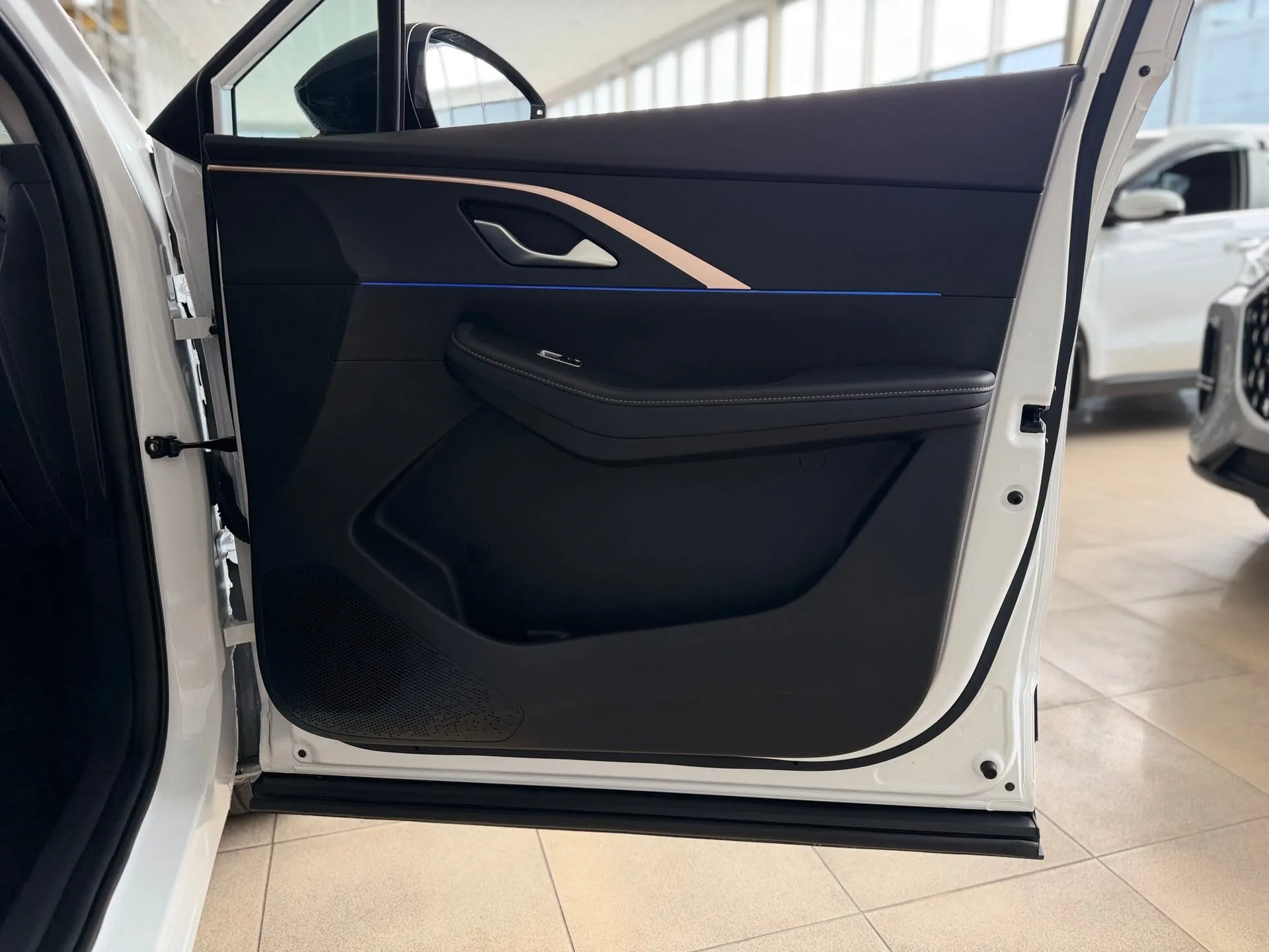 Omoda C5 — фото 25 из 39