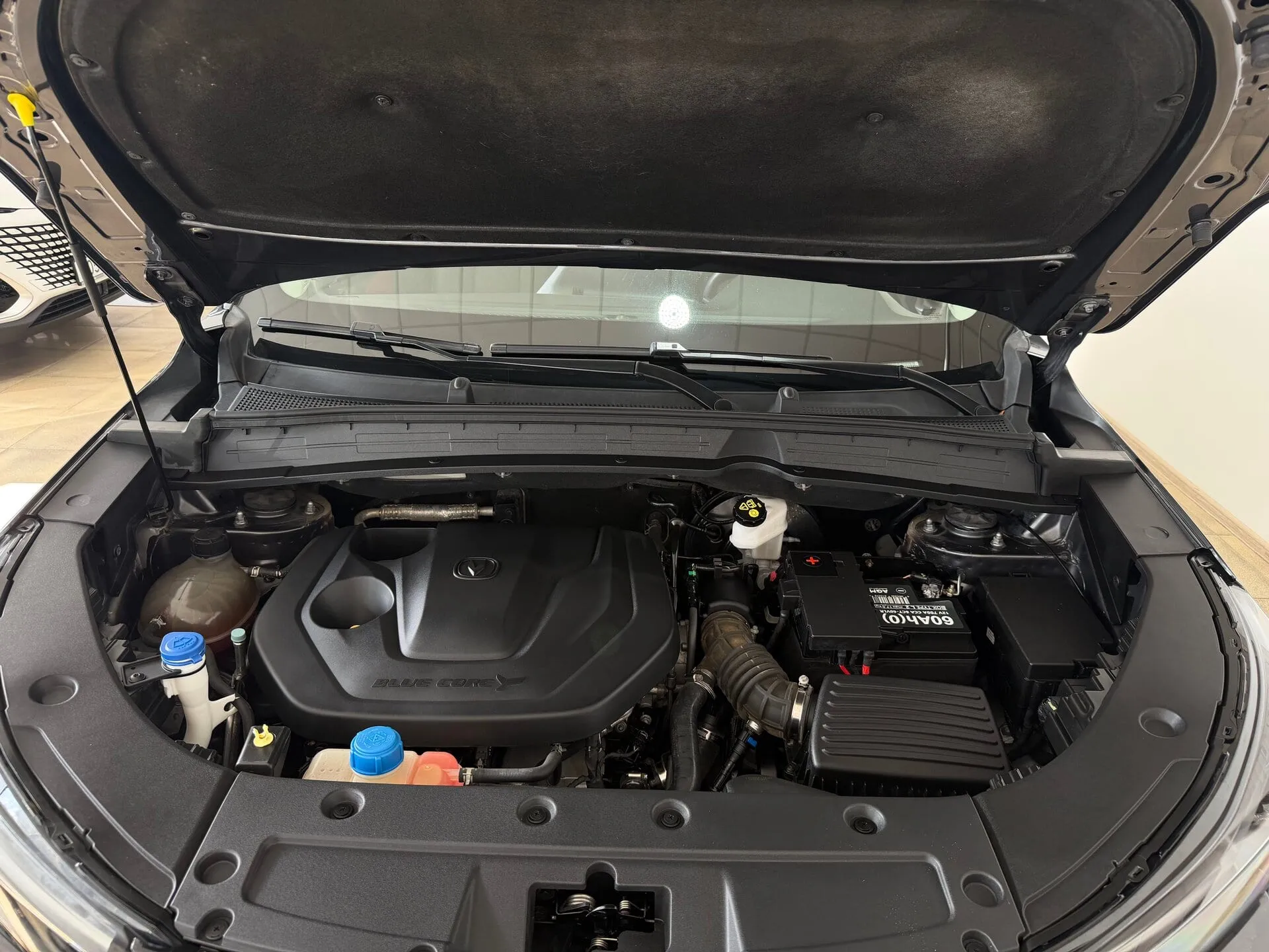 Changan CS55 Plus — фото 37 из 37